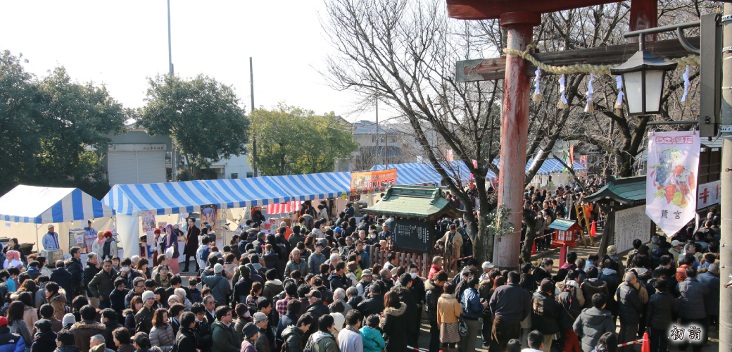 鷲宮神社 初詣